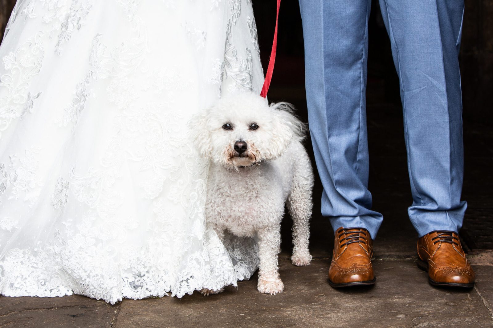 A small white dog sits at the bride's feet beside the groom's brown shoes